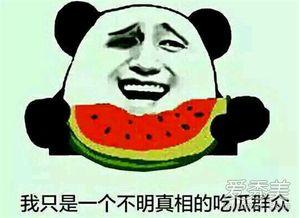 网语吃瓜是什么意思怎么说,吃瓜群众的趣味解读